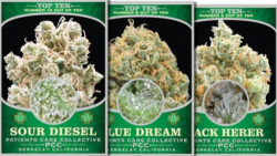 Berkeley Patient’s Care Collective offers these medical cannabis trading cards.